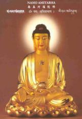 Amitabha Buddha