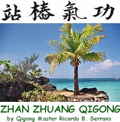 Zhan Zhuang (Standing Like a Tree) Qigong Logo