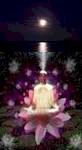 Enlightened meditator under a moonbeam
