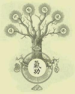 Tibetan Shamanic Qigong - Qi Dao