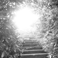 Talking Steps to Enlightenment