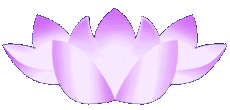 The lotus flower is used as a symbol of enlightenment